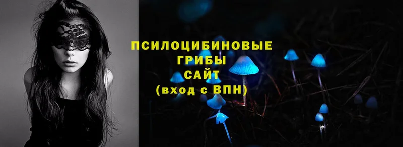 Псилоцибиновые грибы Magic Shrooms  закладка  Пыталово 